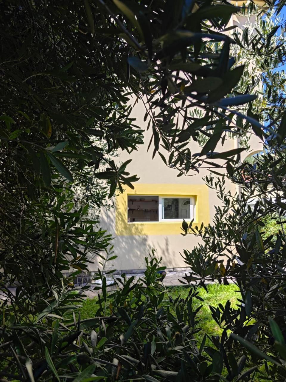 Apartmani Radovic Бієла Екстер'єр фото